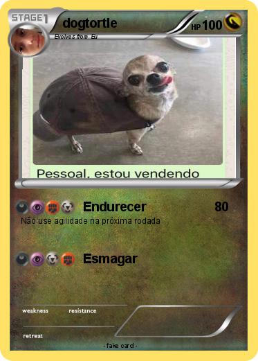 Pokemon dogtortle