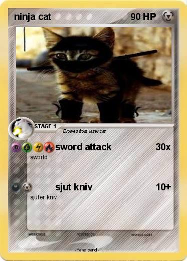Pokemon ninja cat