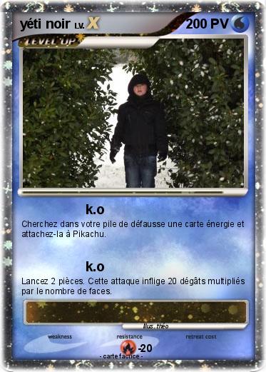Pokemon yéti noir