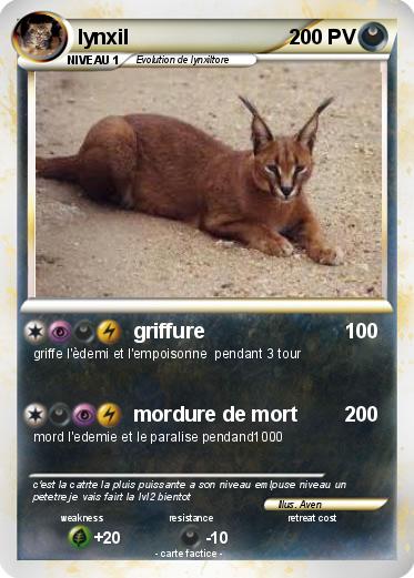 Pokemon lynxil