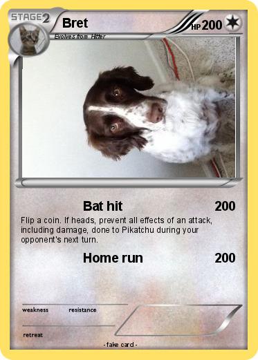 Pokemon Bret