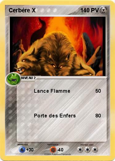 Pokemon Cerbère X