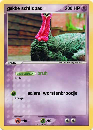 Pokemon gekke schildpad