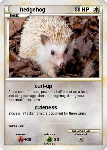 Pokemon hedgehog