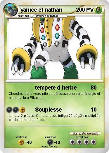 Pokemon yanice et nathan