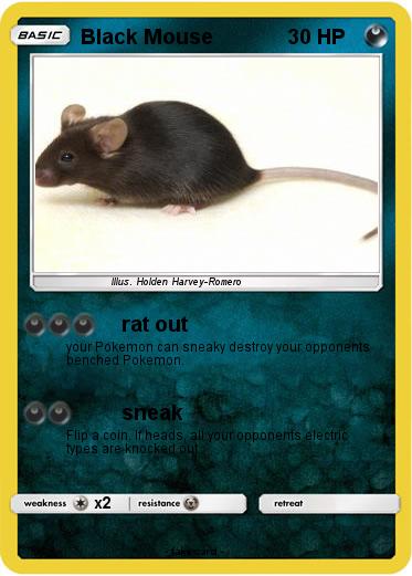 Pokemon Black Mouse