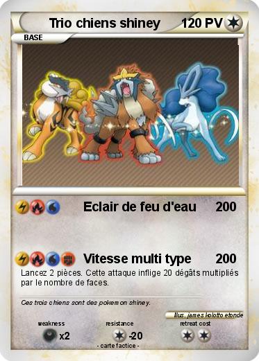 Pokemon Trio chiens shiney