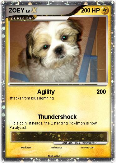 Pokemon ZOEY