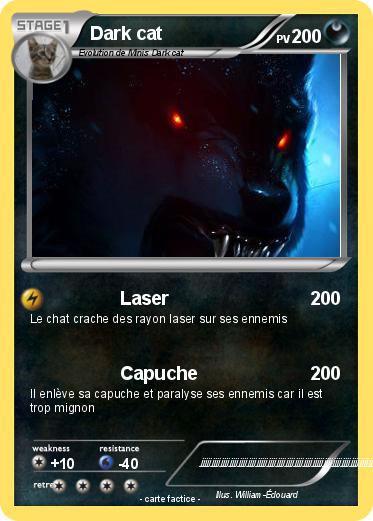 Pokemon Dark cat