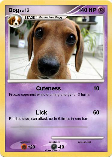Pokemon Dog