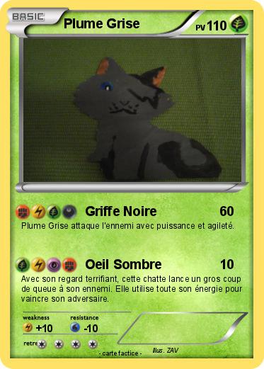Pokemon Plume Grise