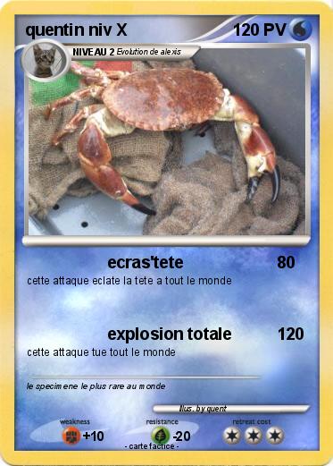 Pokemon quentin niv X