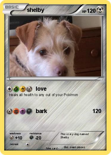 Pokemon shelby