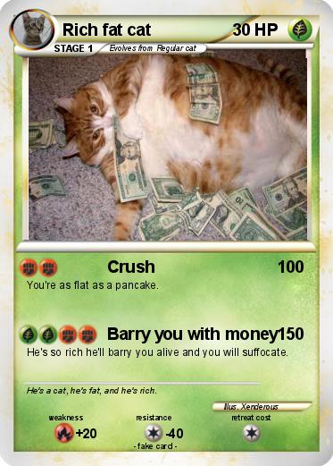 Pokemon Rich fat cat