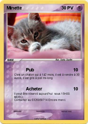 Pokemon Minette