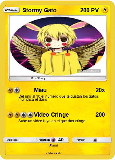 Pokemon Stormy Gato