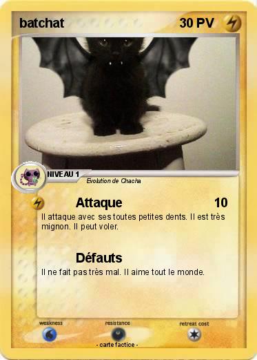 Pokemon batchat