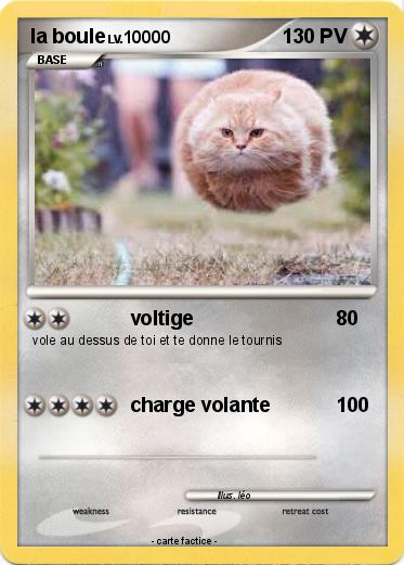 Pokemon la boule