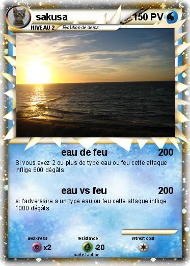 Pokemon sakusa