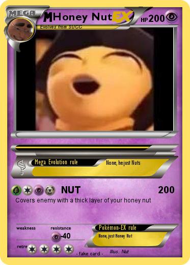 Pokemon Honey Nut