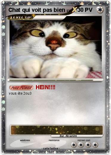 Pokemon Chat qui voit pas bien