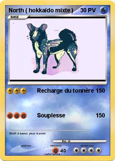 Pokemon North ( hokkaïdo mixte )