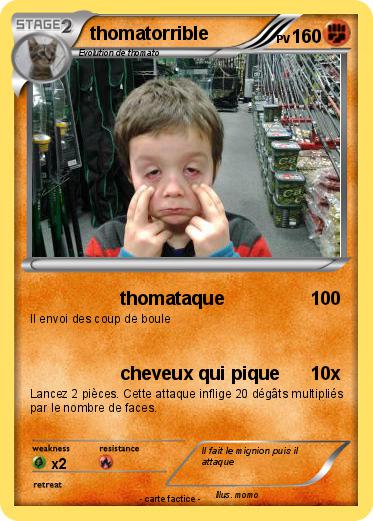 Pokemon thomatorrible