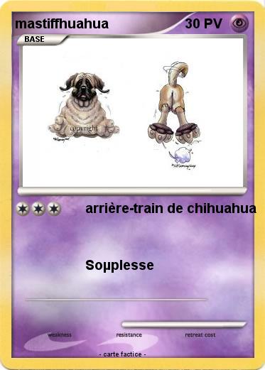 Pokemon mastiffhuahua