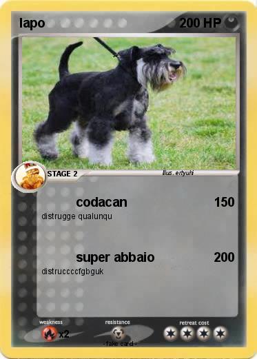 Pokemon lapo