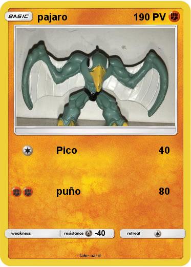 Pokemon pajaro