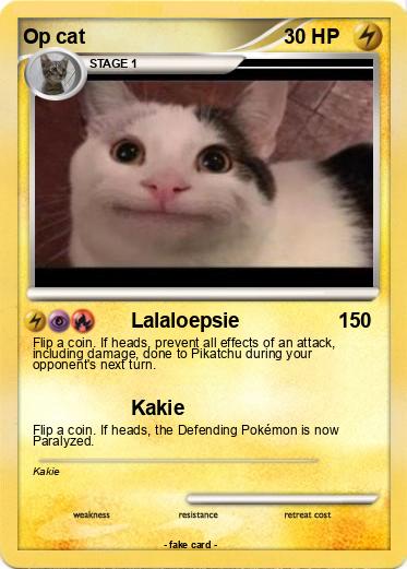 Pokemon Op cat