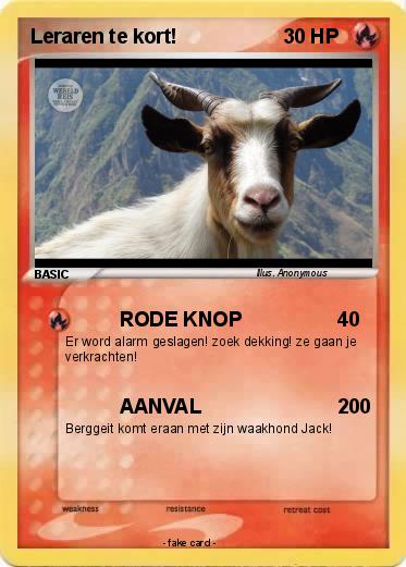 Pokemon Leraren te kort!