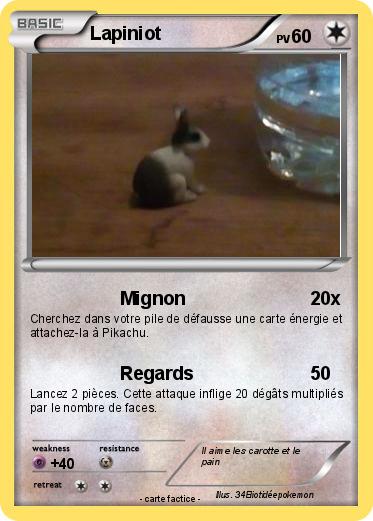 Pokemon Lapiniot