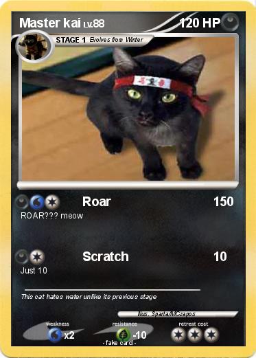 Pokemon Master kai