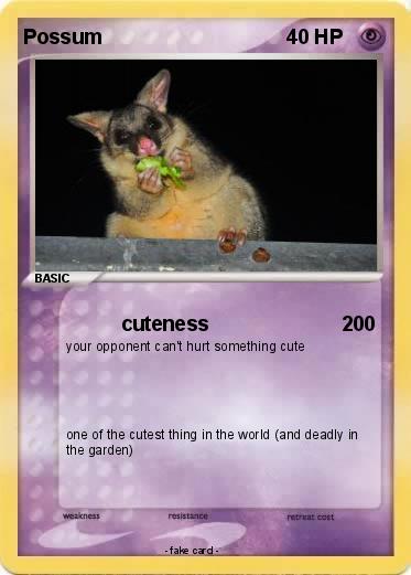 Pokemon Possum