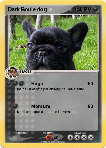 Pokemon Dark Boule dog