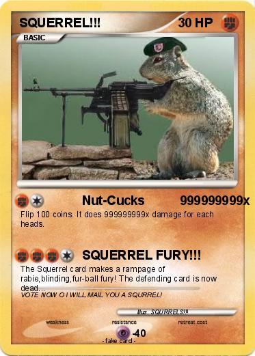 Pokemon SQUERREL!!!
