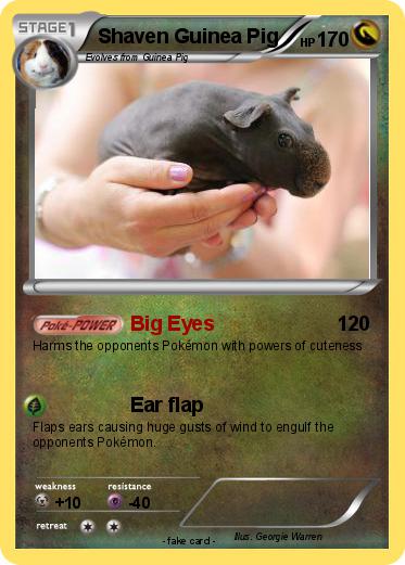 Pokemon Shaven Guinea Pig