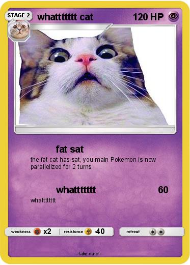 Pokemon whattttttt cat