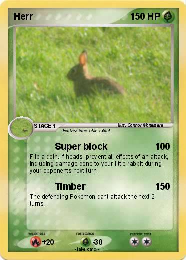 Pokemon Herr