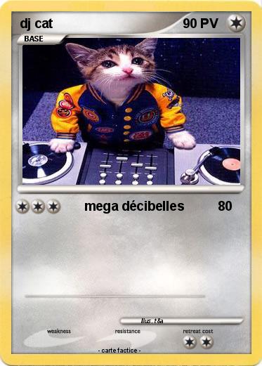Pokemon dj cat