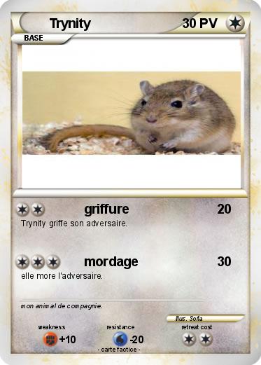 Pokemon Trynity