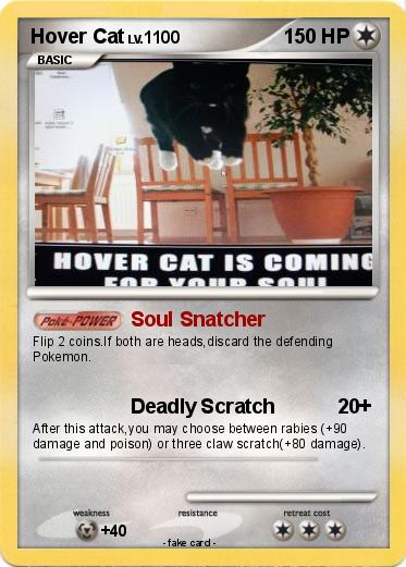 Pokemon Hover Cat
