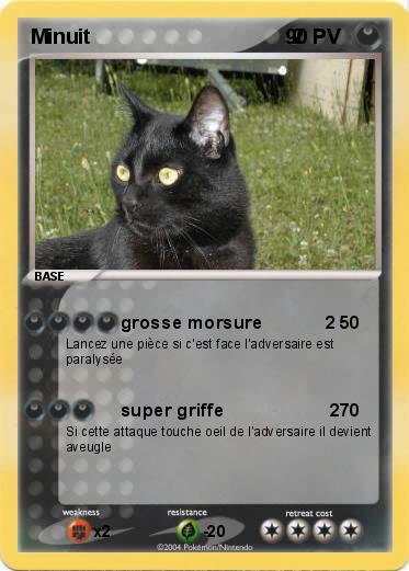 Pokemon Minuit                                    2