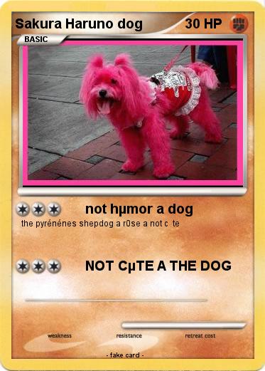 Pokemon Sakura Haruno dog