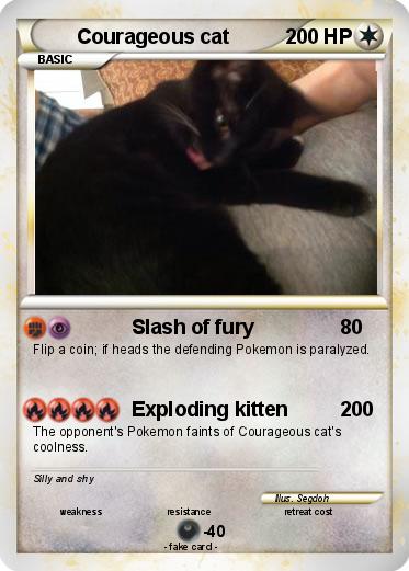 Pokemon Courageous cat
