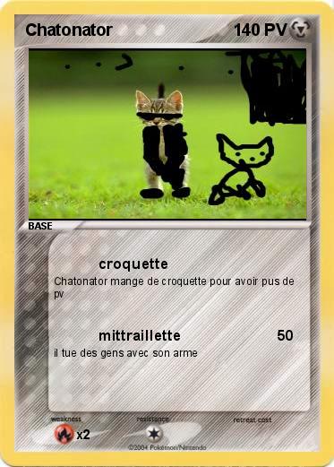 Pokemon Chatonator