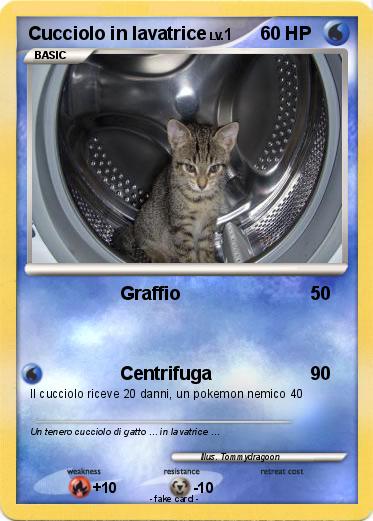 Pokemon Cucciolo in lavatrice
