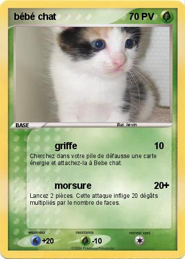 Pokemon bébé chat