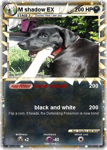 Pokemon M shadow EX